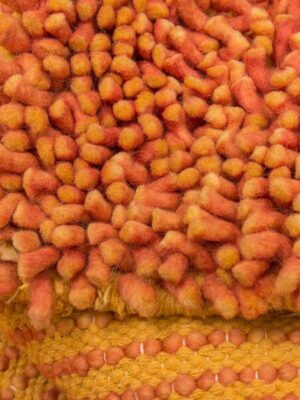 Orange Shaggy