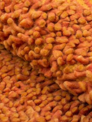Orange Shaggy