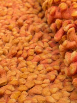 Orange Shaggy