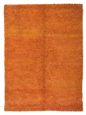 Orange Shaggy